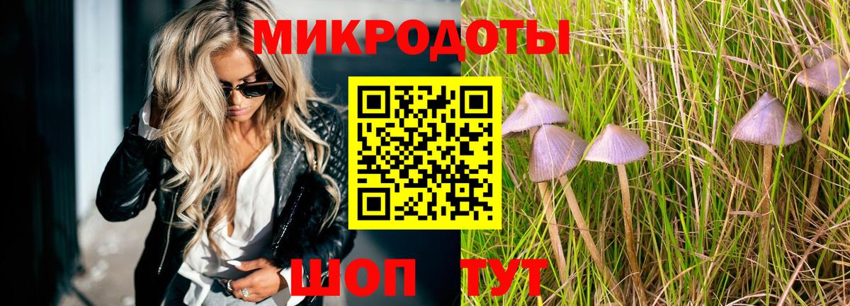 продажа наркотиков  Вход с VPN  Ногинск  Галлюциногенные грибы прущие грибы 